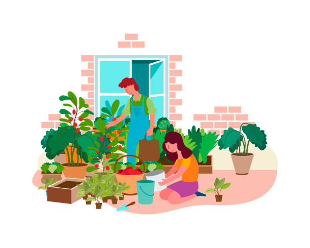 AR-Gardening-Community-Services-BSIT-Software-Services-Web-And-App-Development-Company-In-India