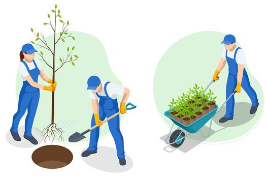 AR-Gardening-User-Friendly-interface-BSIT-Software-Services-Web-And-App-Development-Company-In-India