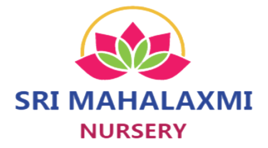 Our-Clients-Mahalaxmi-Nursery-at-BSIT-Software-Services-Web-And-App-Development-Company-In-India