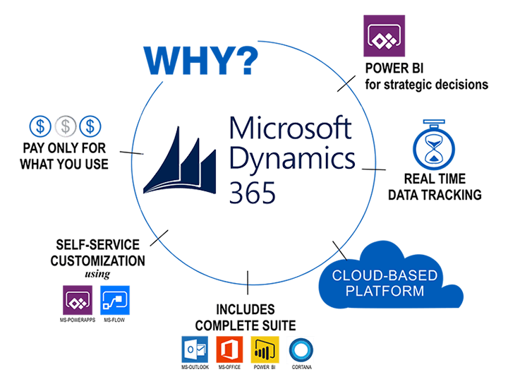 mirosoft_dynamics_crm_BSIT_Software_Services_Web_And_App_Development_Company_In_India